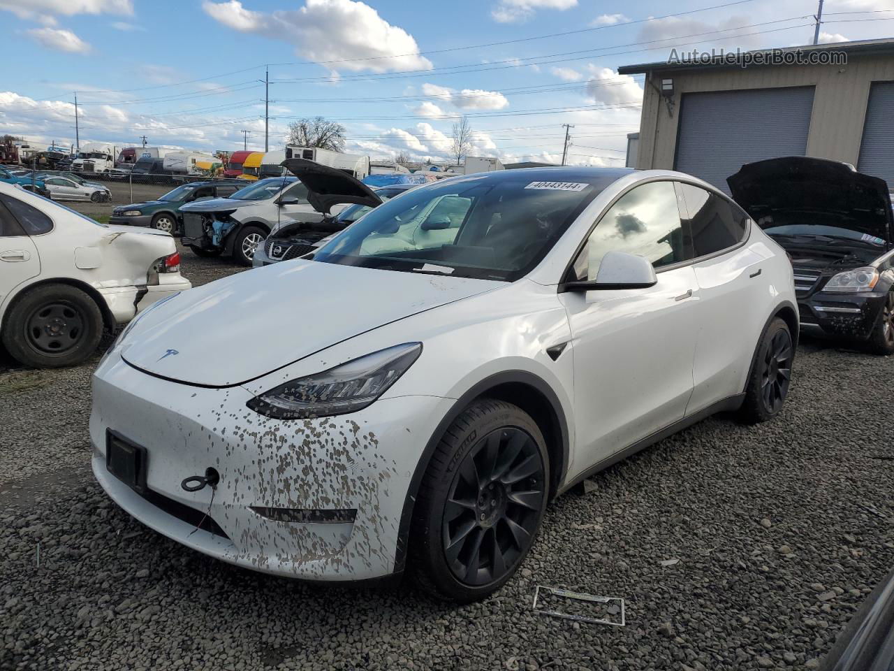 2021 Tesla Model Y  Белый vin: 5YJYGDEE0MF084483