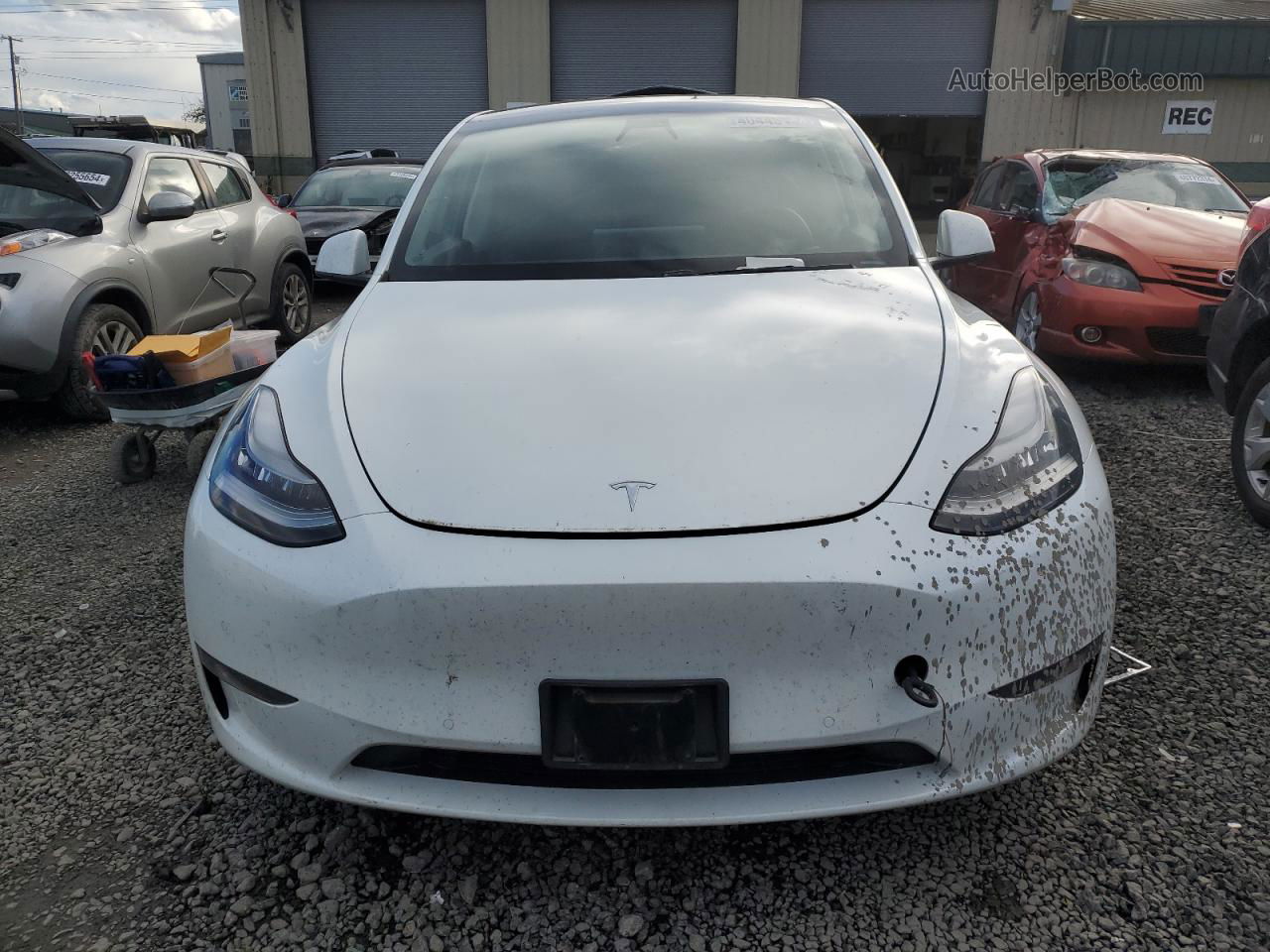 2021 Tesla Model Y  White vin: 5YJYGDEE0MF084483