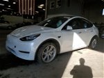 2021 Tesla Model Y  White vin: 5YJYGDEE0MF203214