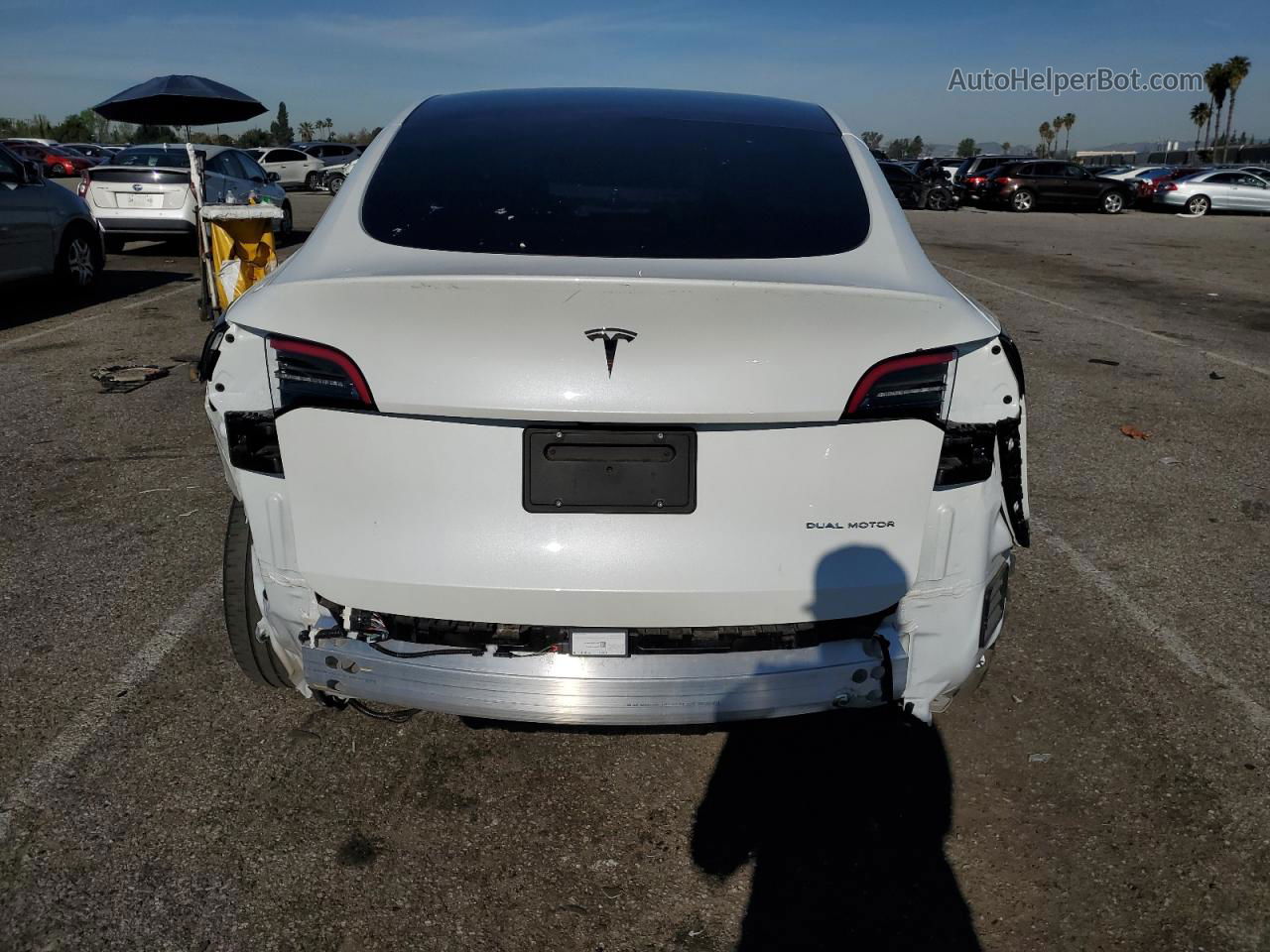 2021 Tesla Model Y  White vin: 5YJYGDEE0MF301501