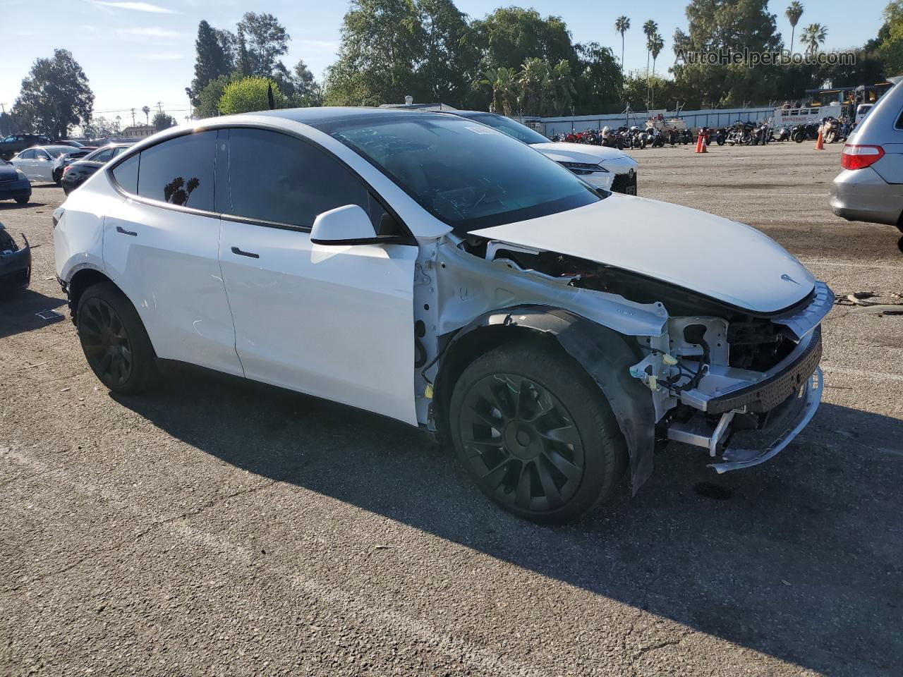 2021 Tesla Model Y  White vin: 5YJYGDEE0MF301501