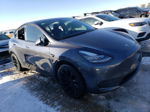 2021 Tesla Model Y  Gray vin: 5YJYGDEE1MF137871