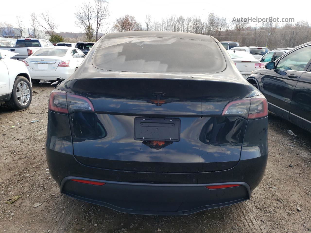 2021 Tesla Model Y  Black vin: 5YJYGDEE1MF265009