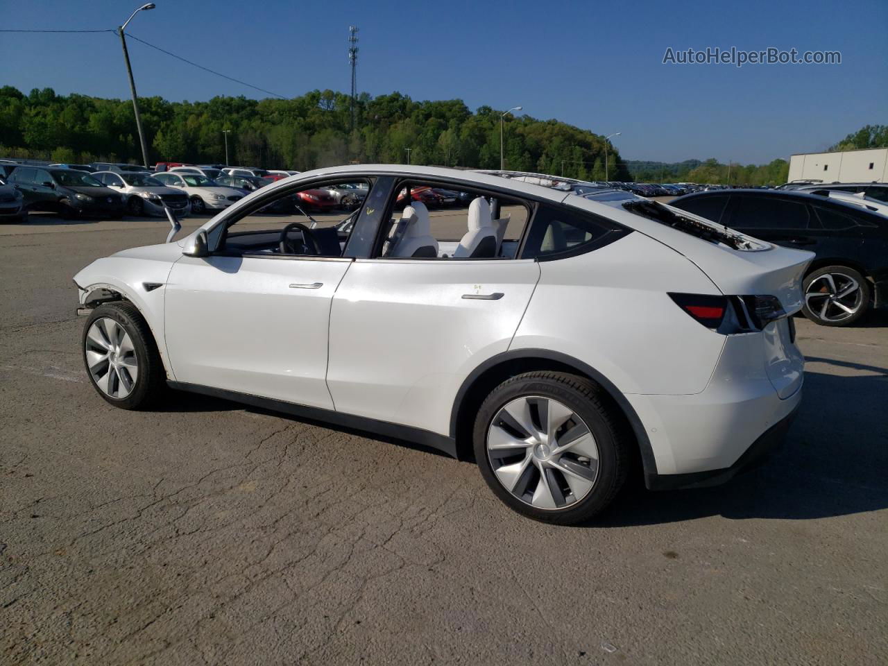 2021 Tesla Model Y  White vin: 5YJYGDEE1MF269156