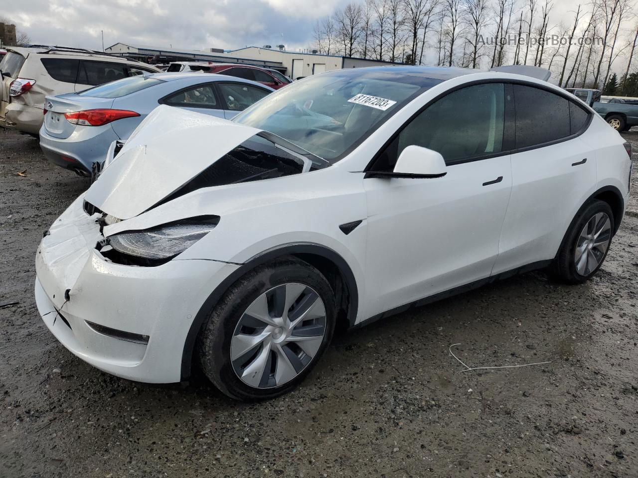 2021 Tesla Model Y  Белый vin: 5YJYGDEE1MF298804