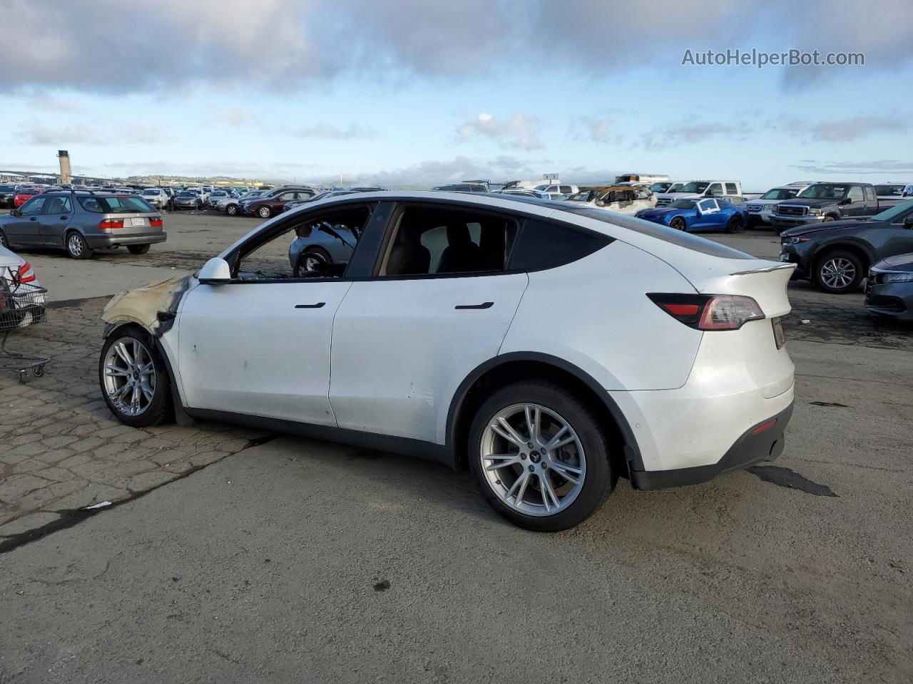 2020 Tesla Model Y  White vin: 5YJYGDEE2LF013753