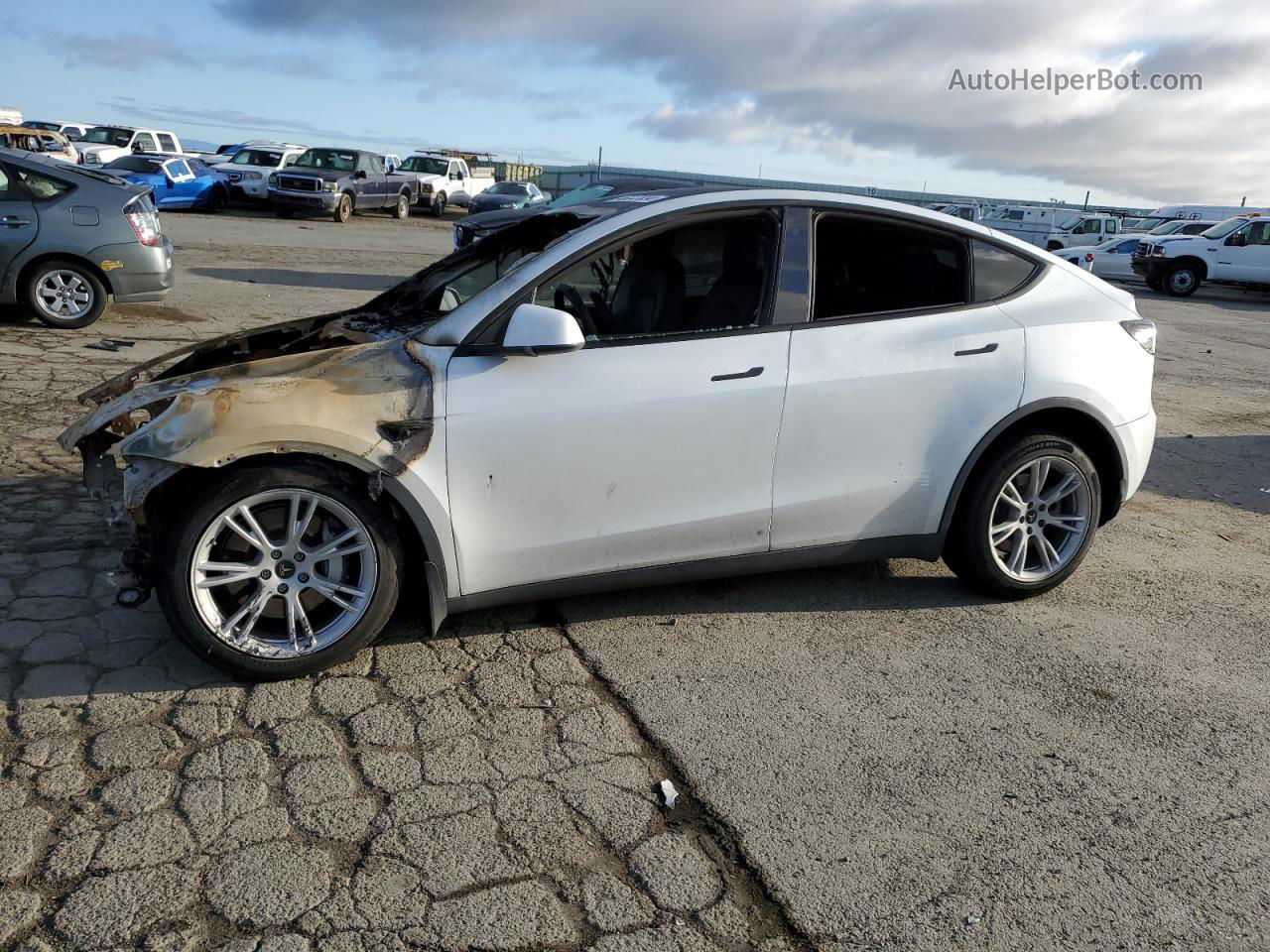 2020 Tesla Model Y  White vin: 5YJYGDEE2LF013753