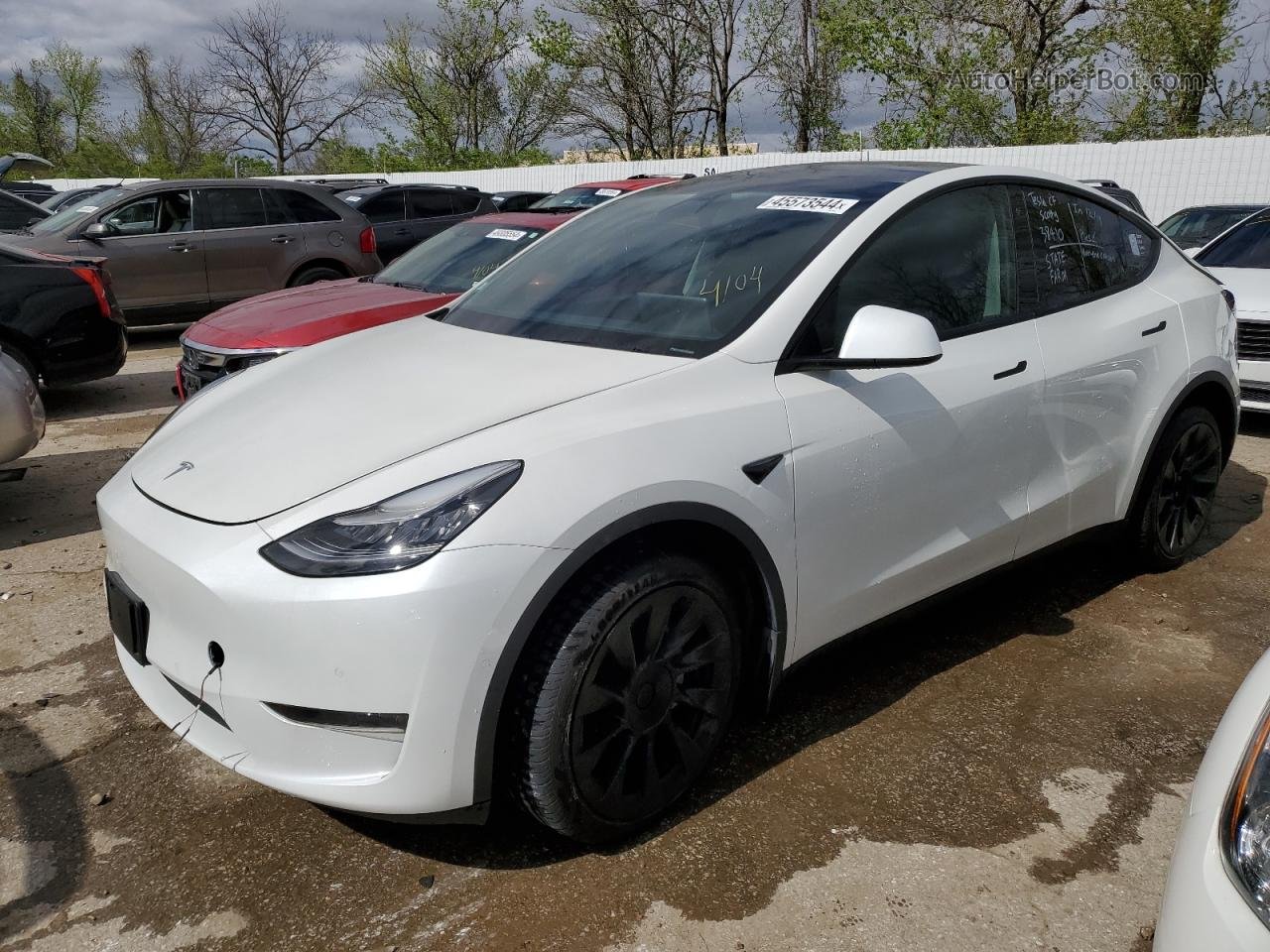 2021 Tesla Model Y  Белый vin: 5YJYGDEE2MF060606