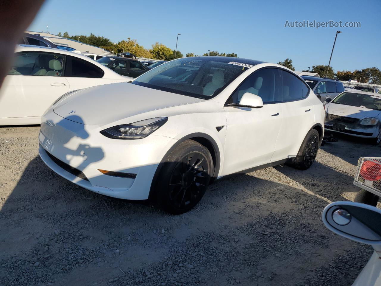 2020 Tesla Model Y  White vin: 5YJYGDEE3LF056224