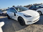 2020 Tesla Model Y  White vin: 5YJYGDEE3LF056224