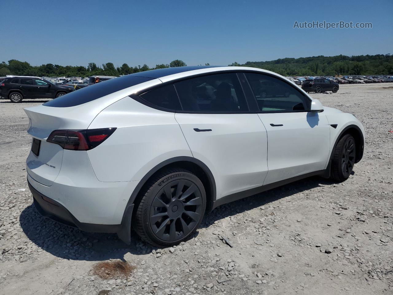 2021 Tesla Model Y  White vin: 5YJYGDEE3MF202476