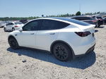 2021 Tesla Model Y  White vin: 5YJYGDEE3MF202476