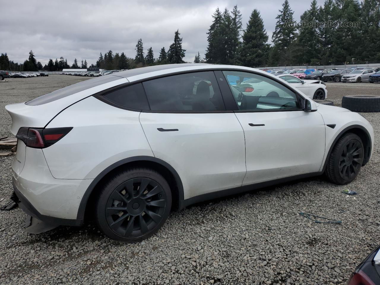 2020 Tesla Model Y  White vin: 5YJYGDEE5LF024004