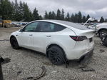 2020 Tesla Model Y  White vin: 5YJYGDEE5LF024004