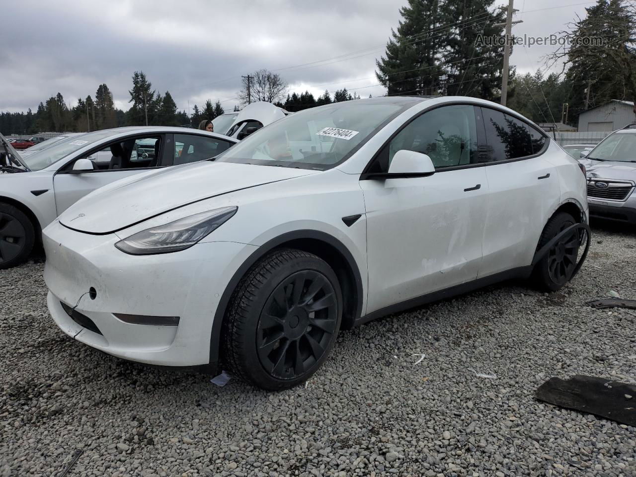 2020 Tesla Model Y  White vin: 5YJYGDEE5LF024004