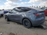 2021 Tesla Model Y  Gray vin: 5YJYGDEE5MF064102