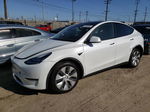 2021 Tesla Model Y  White vin: 5YJYGDEE5MF072572