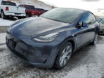 2021 Tesla Model Y  Gray vin: 5YJYGDEE6MF079787