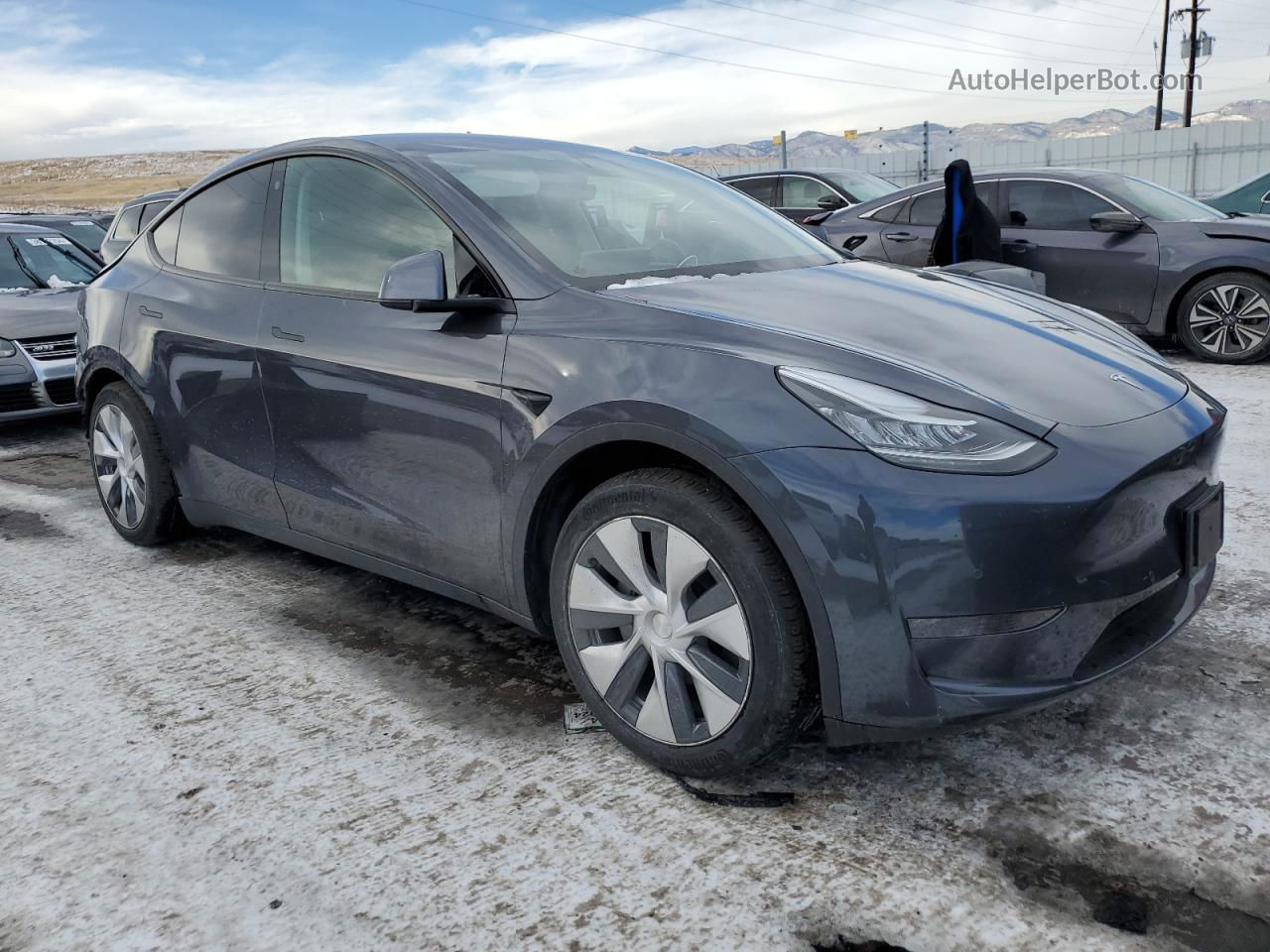 2021 Tesla Model Y  Gray vin: 5YJYGDEE6MF079787