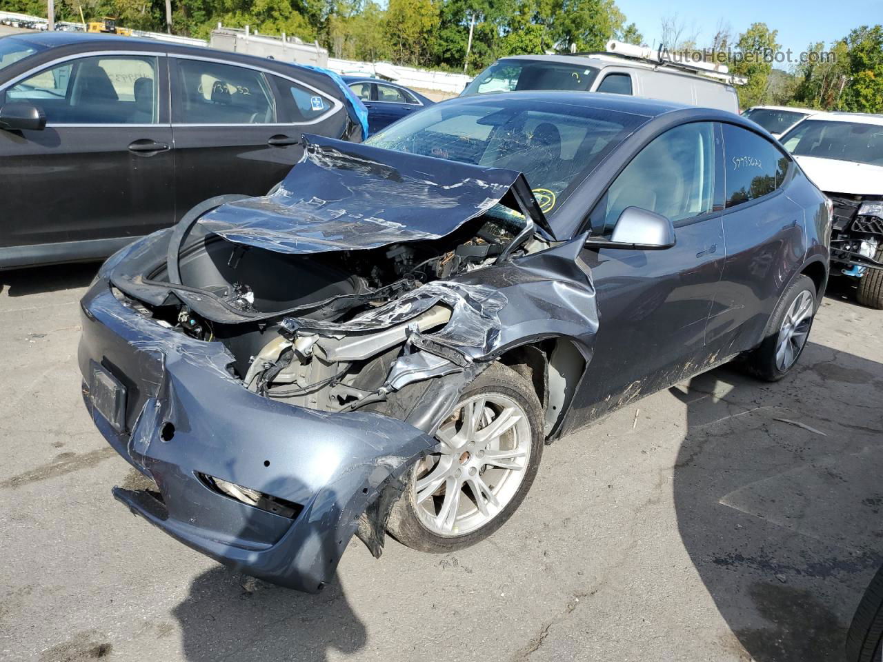 2021 Tesla Model Y  Gray vin: 5YJYGDEE6MF099702