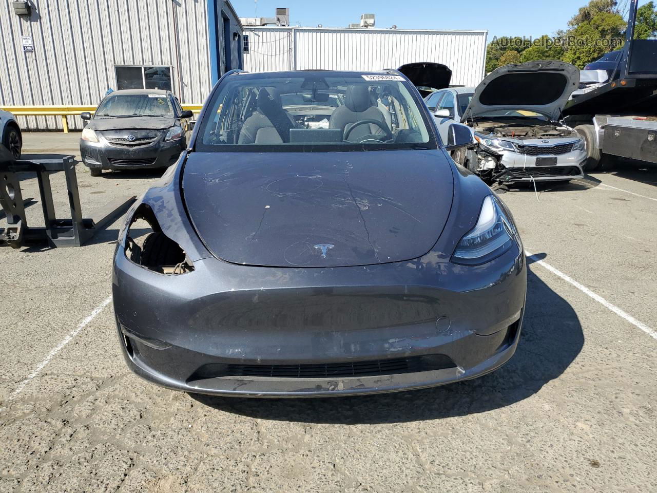 2020 Tesla Model Y  Gray vin: 5YJYGDEE7LF015711