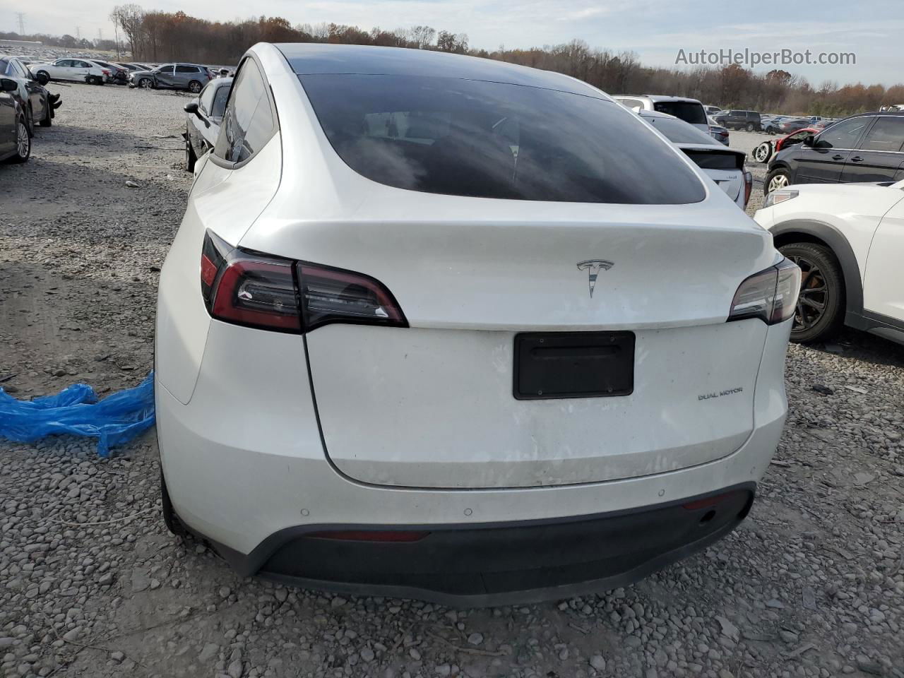 2020 Tesla Model Y  White vin: 5YJYGDEE7LF032105