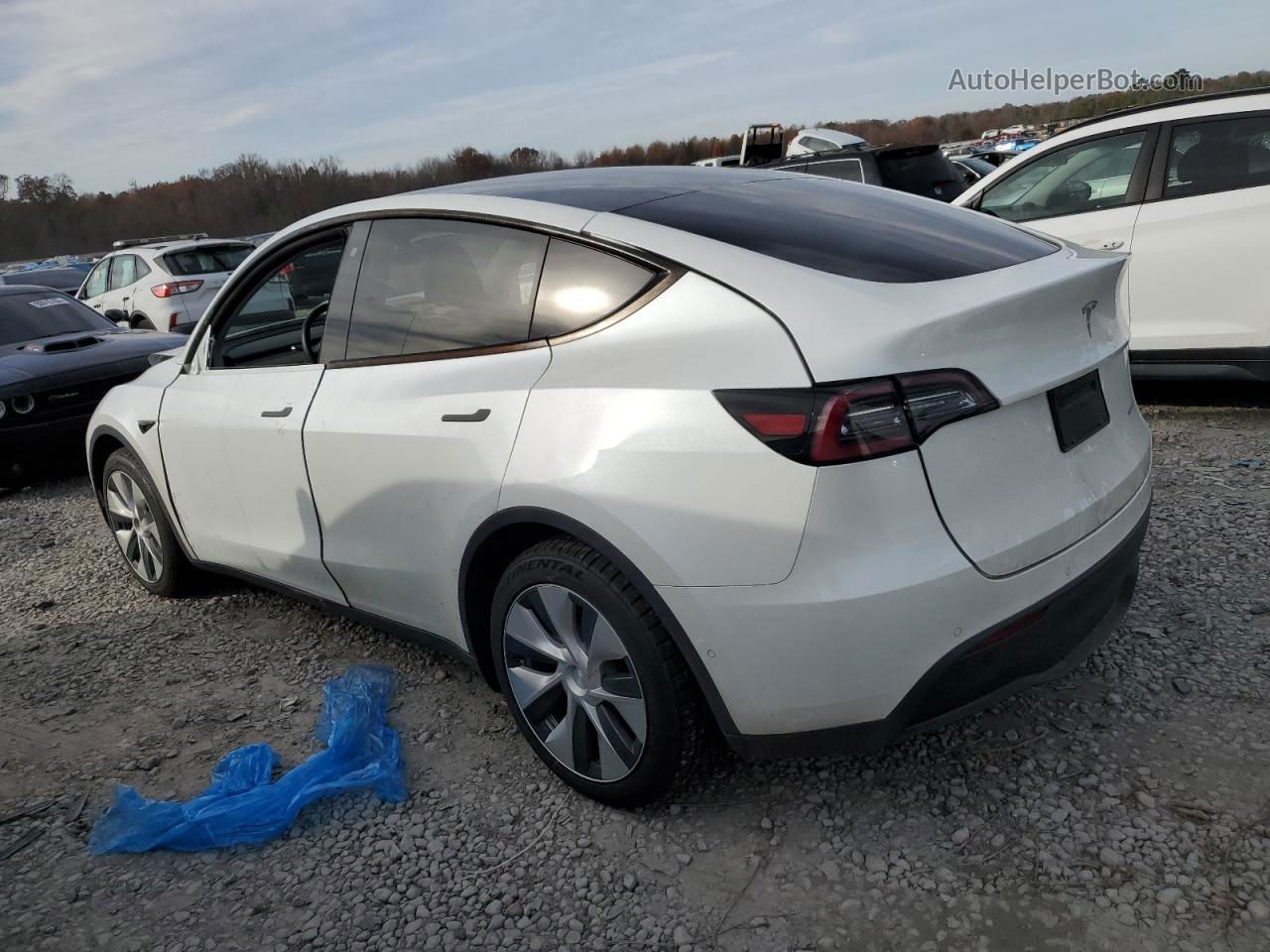 2020 Tesla Model Y  White vin: 5YJYGDEE7LF032105