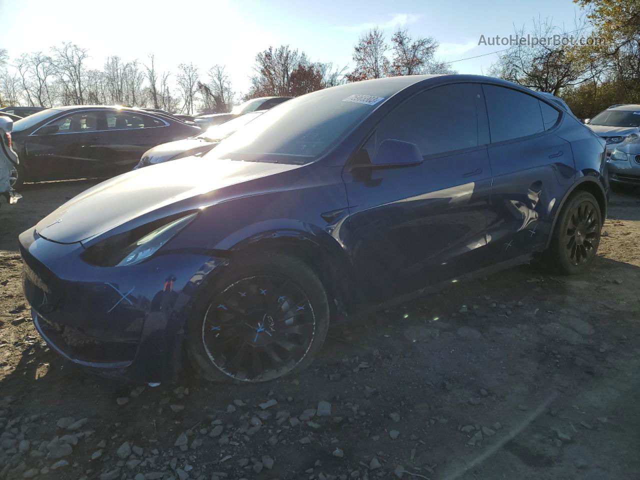 2020 Tesla Model Y  Blue vin: 5YJYGDEE7LF047848