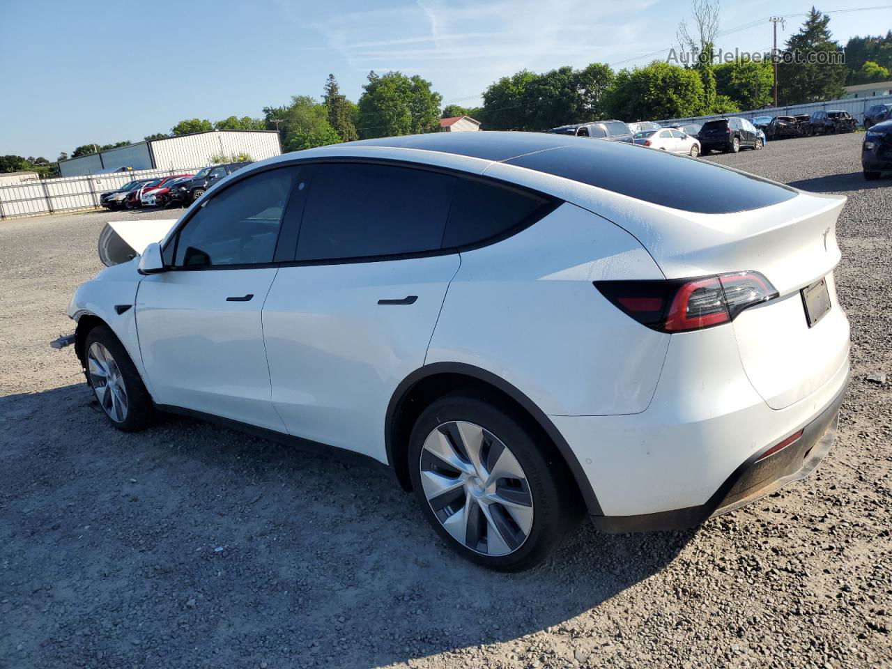 2021 Tesla Model Y  White vin: 5YJYGDEE7MF300135