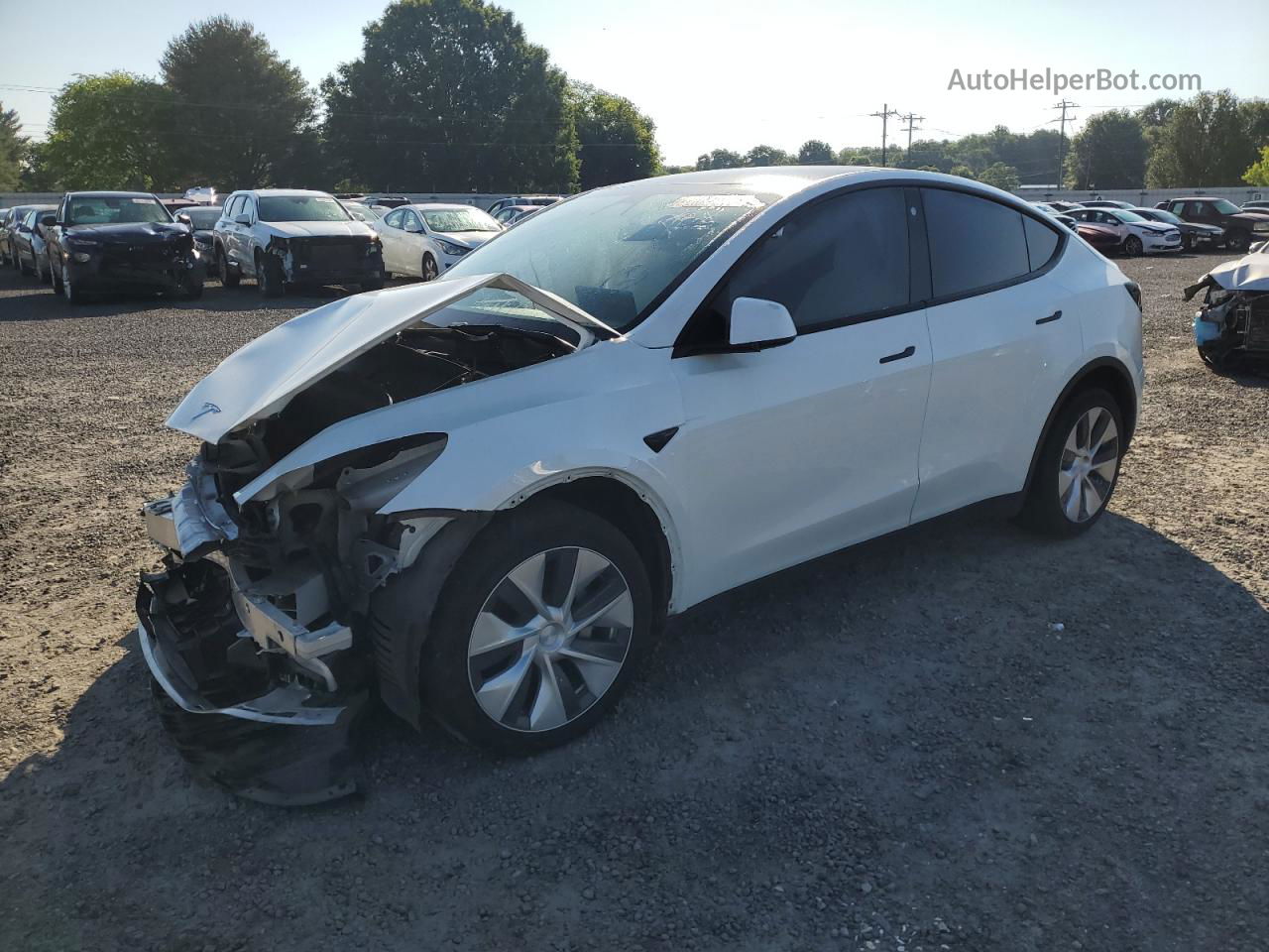 2021 Tesla Model Y  White vin: 5YJYGDEE7MF300135