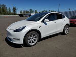 2021 Tesla Model Y  White vin: 5YJYGDEE8MF240527