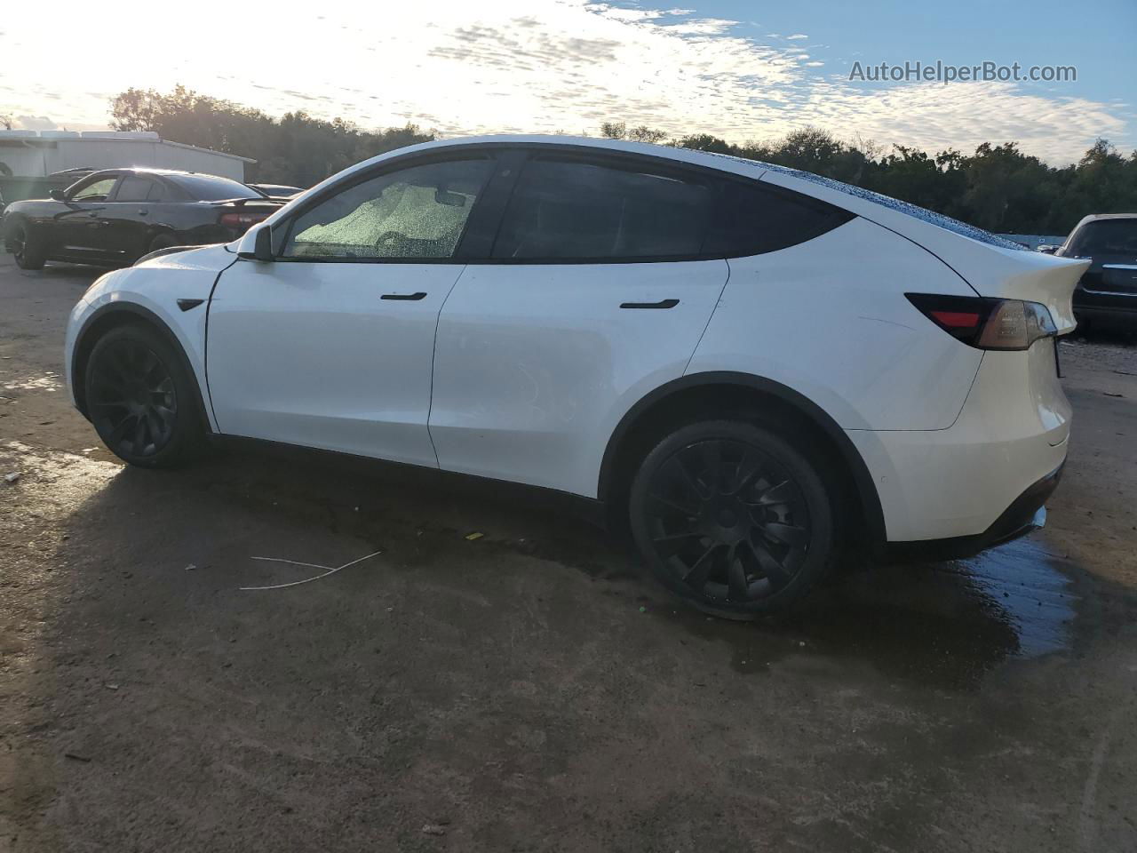 2020 Tesla Model Y  White vin: 5YJYGDEE9LF025768