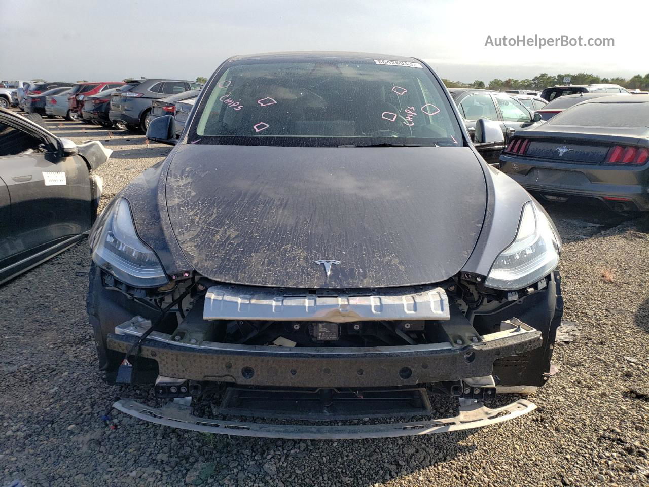 2021 Tesla Model Y  Gray vin: 5YJYGDEE9MF100003