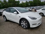 2021 Tesla Model Y  White vin: 5YJYGDEE9MF261516