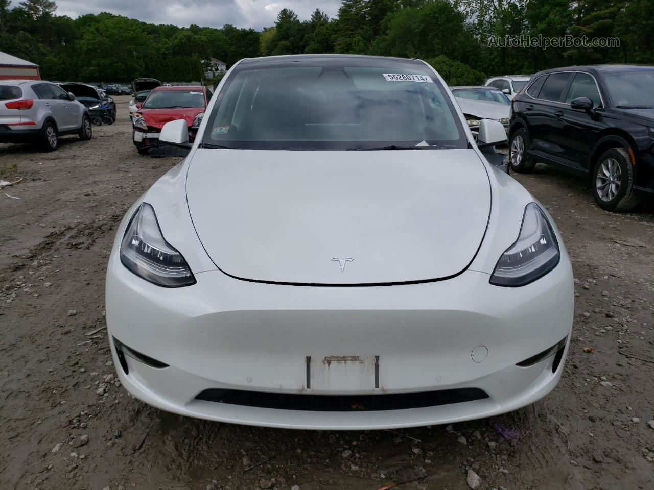 2021 Tesla Model Y  White vin: 5YJYGDEE9MF261516