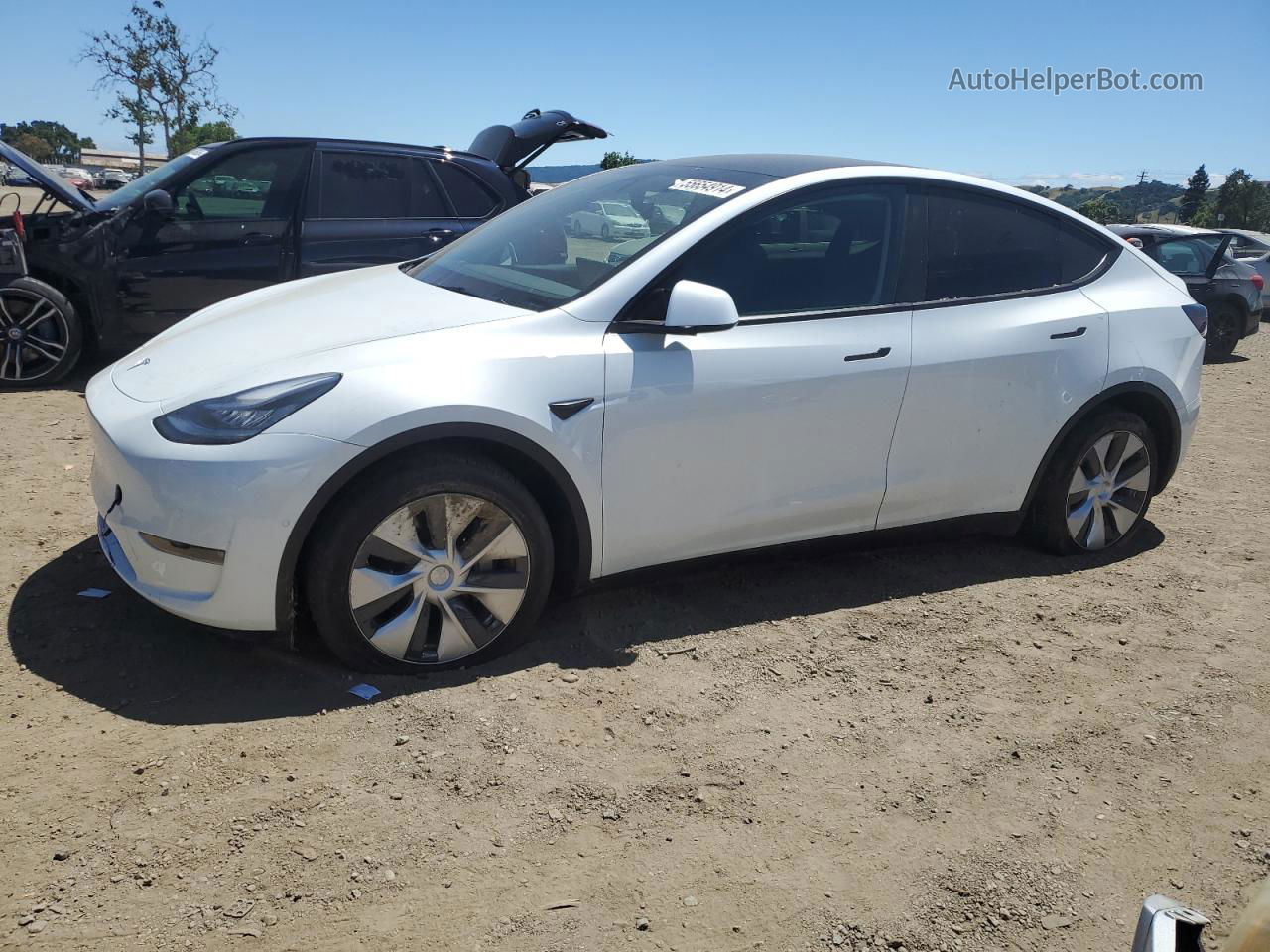 2021 Tesla Model Y  White vin: 5YJYGDEEXMF118977