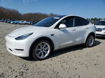 2021 Tesla Model Y  White vin: 5YJYGDEEXMF204838