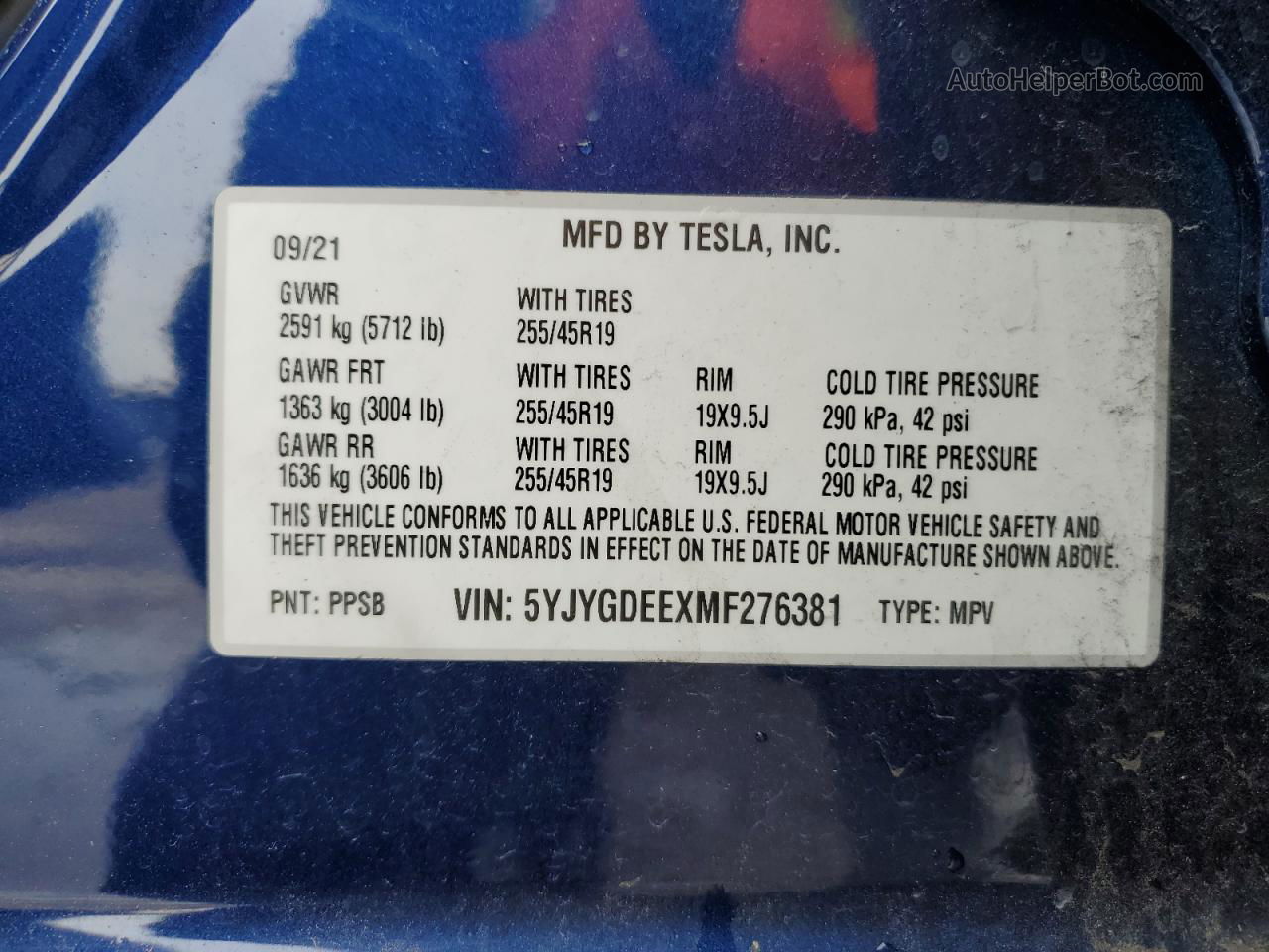 2021 Tesla Model Y  Blue vin: 5YJYGDEEXMF276381
