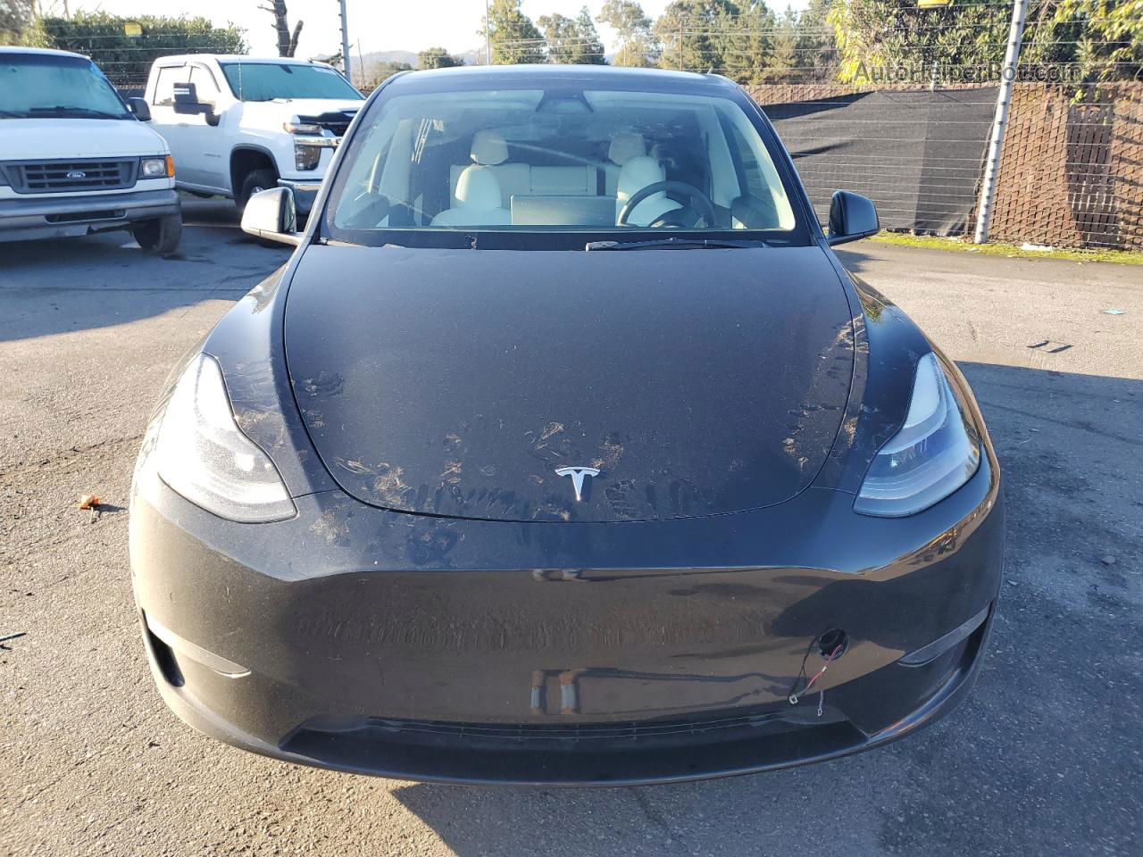 2021 Tesla Model Y  Black vin: 5YJYGDEF1MF215817