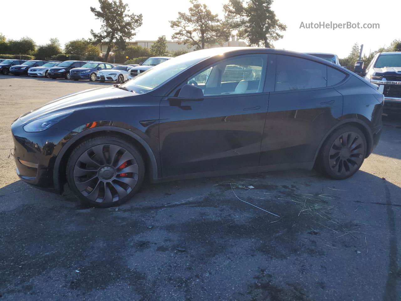 2021 Tesla Model Y  Black vin: 5YJYGDEF1MF215817