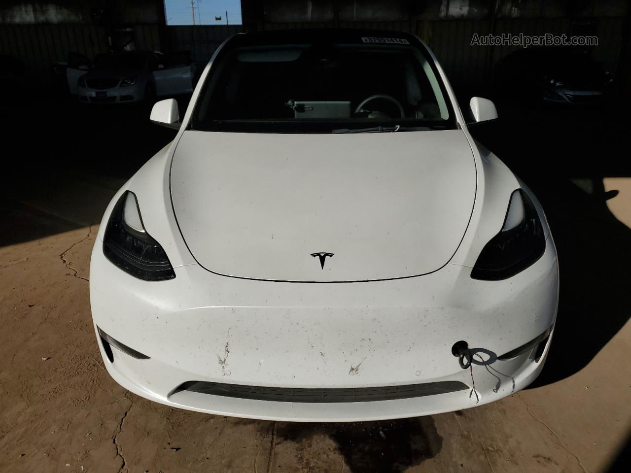 2021 Tesla Model Y  White vin: 5YJYGDEF1MF216031