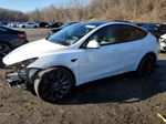 2021 Tesla Model Y  White vin: 5YJYGDEFXMF261033