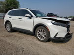 2023 Honda Cr-v Exl White vin: 7FARS3H73PE001003