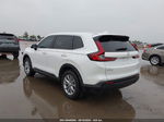 2023 Honda Cr-v Ex-l Awd White vin: 7FARS4H73PE020107