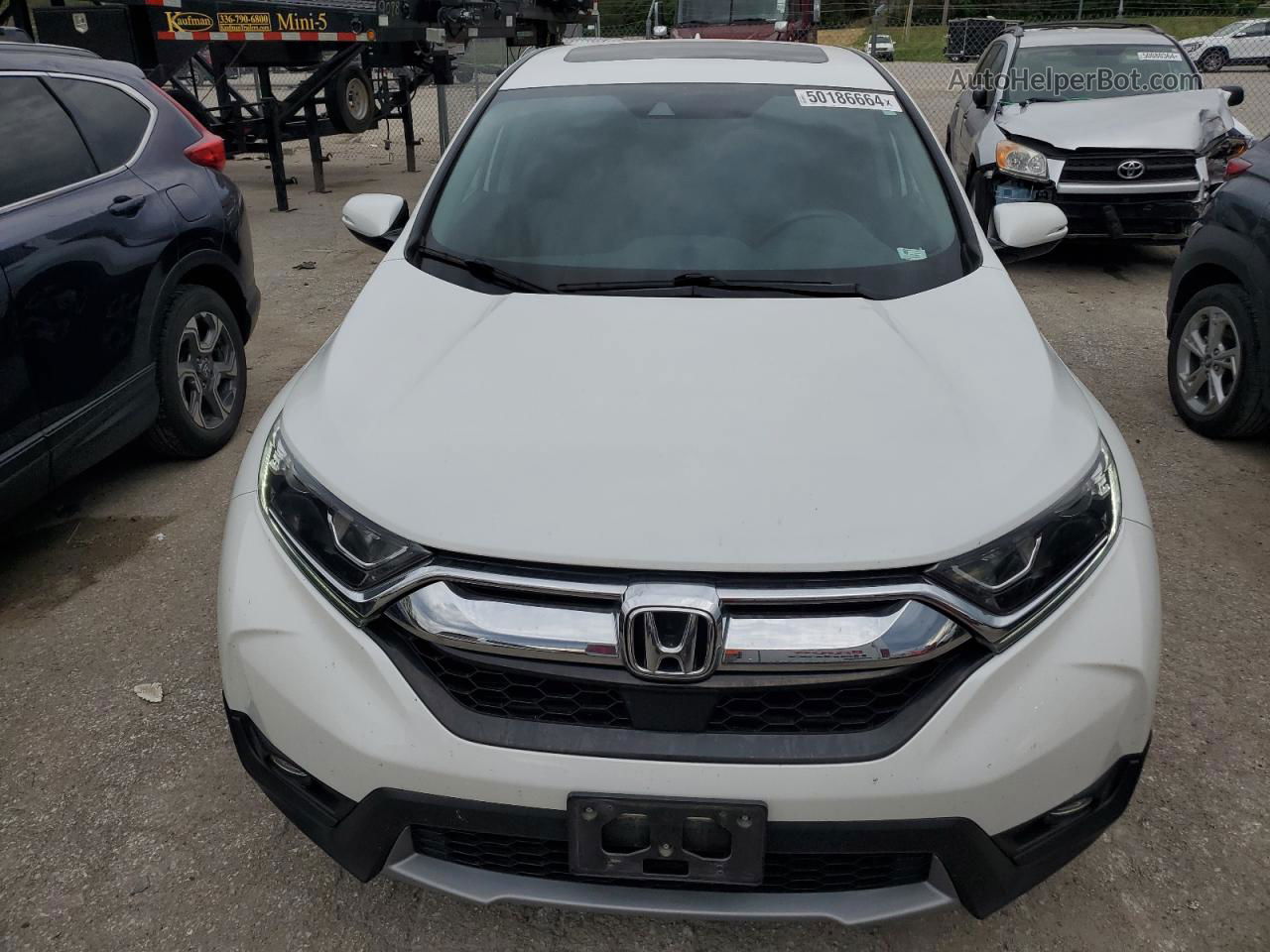 2019 Honda Cr-v Ex Белый vin: 7FARW1H58KE034224