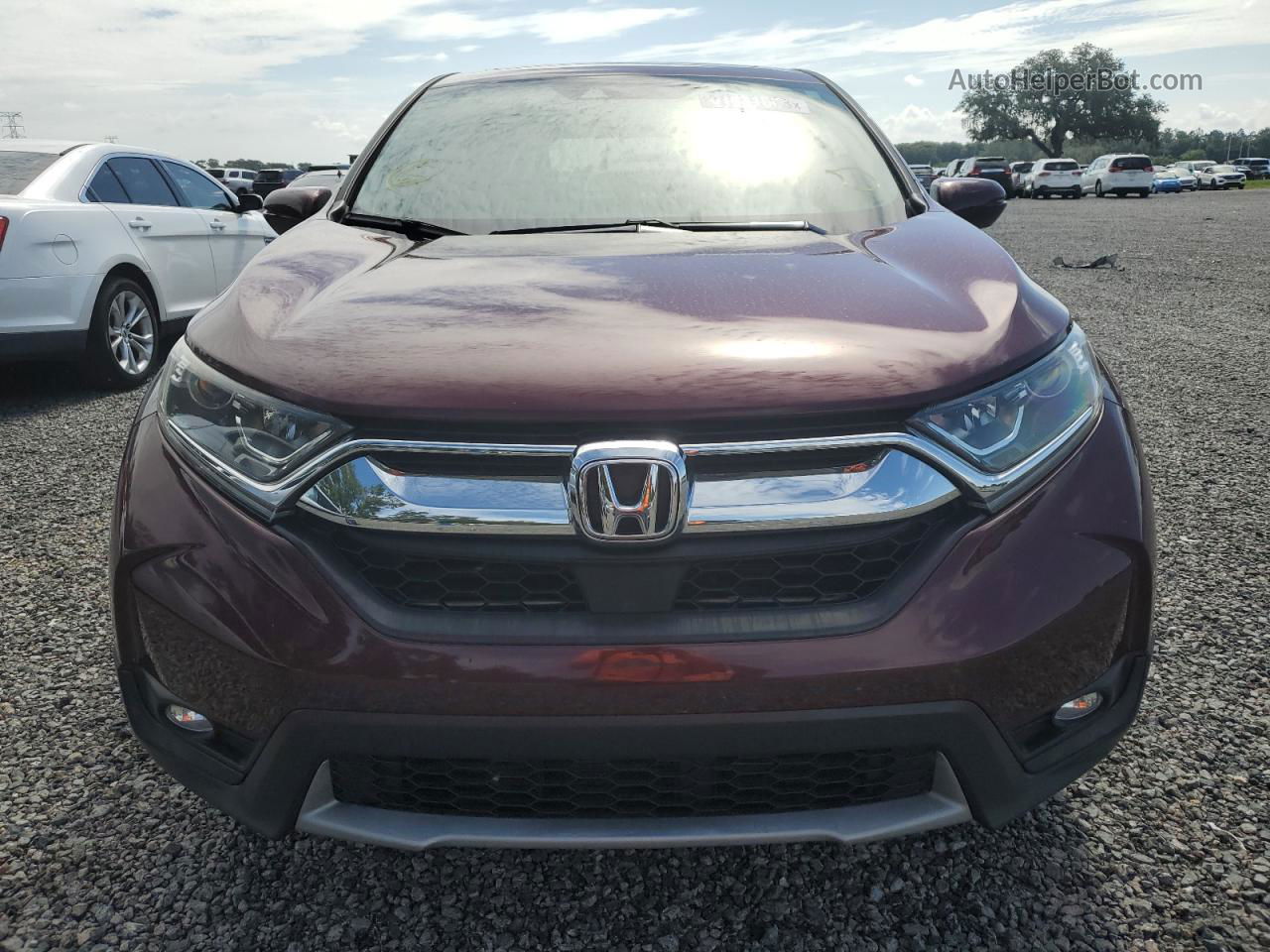 2019 Honda Cr-v Exl Maroon vin: 7FARW1H86KE016637