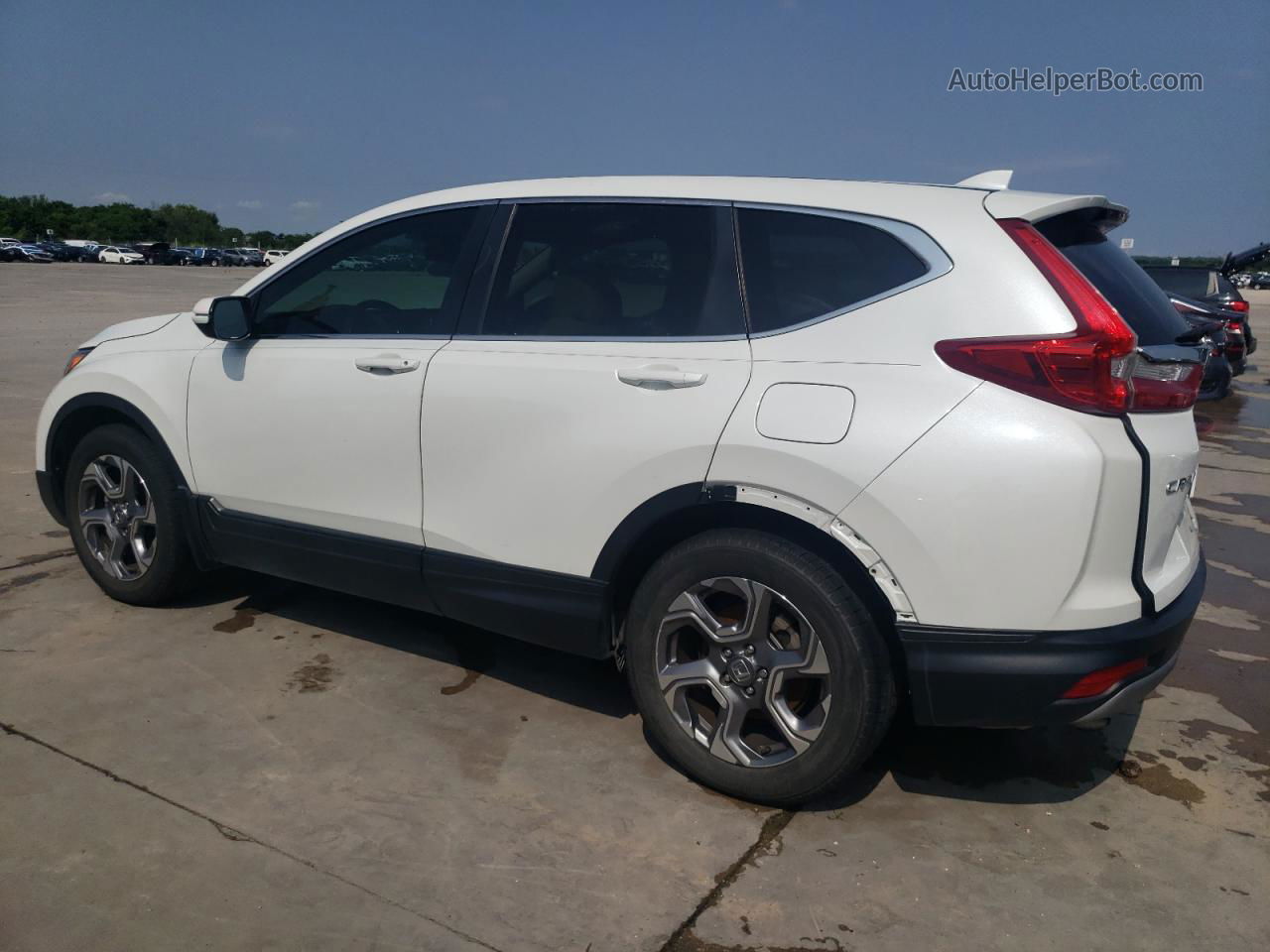 2019 Honda Cr-v Exl White vin: 7FARW1H89KE030290