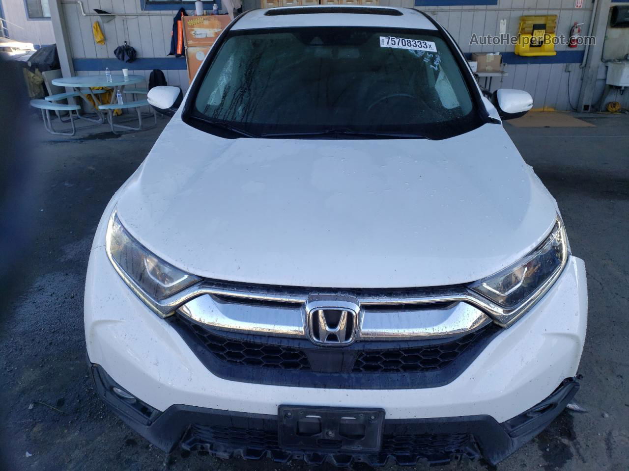 2019 Honda Cr-v Exl White vin: 7FARW1H89KE032184