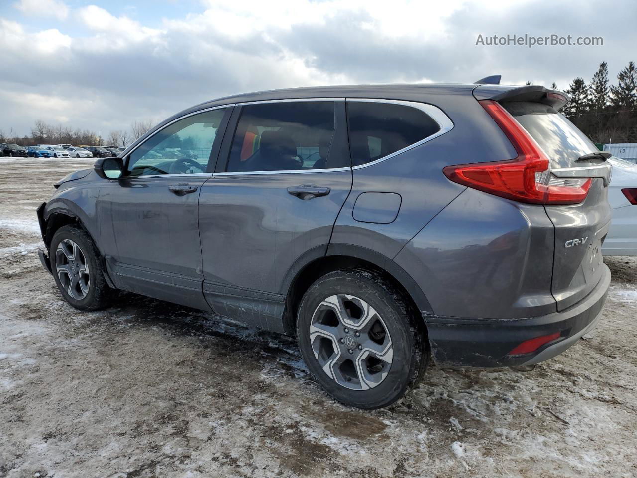 2019 Honda Cr-v Ex Gray vin: 7FARW2H52KE007896