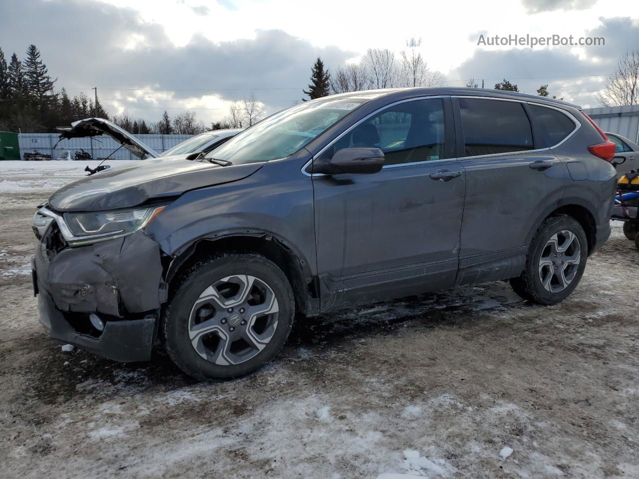 2019 Honda Cr-v Ex Gray vin: 7FARW2H52KE007896